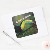 Sticker Carré Costa Rica avec Toucan coloré (Enveloppe)