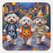 Sticker Carré Costumes d'Halloween Bichon Frise (Devant)