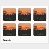 Sticker Carré Coucher de soleil Acacia (Feuille)
