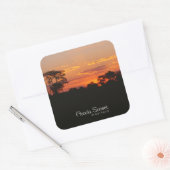 Sticker Carré Coucher de soleil Acacia (Enveloppe)