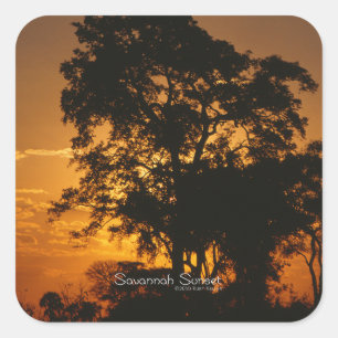 Sticker Carré Coucher de soleil de Savannah