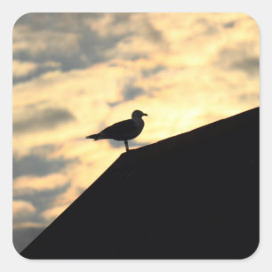 Sticker Carré Coucher de soleil de Sea Gull