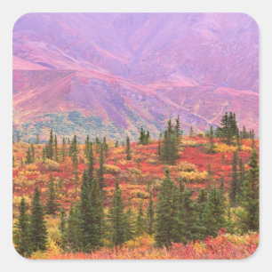 Sticker Carré Couleur d'automne dans le parc national du Denali
