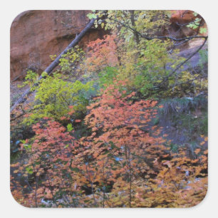 Sticker Carré Couleurs automne partout