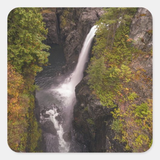 Sticker Carré Couleurs Automnes À Elk Falls (Devant)