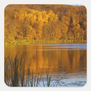 Sticker Carré Couleurs d'automne dans le parc d'État Maplewood p