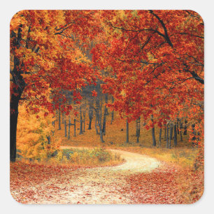 Sticker Carré Couleurs saisonnières de l'automne