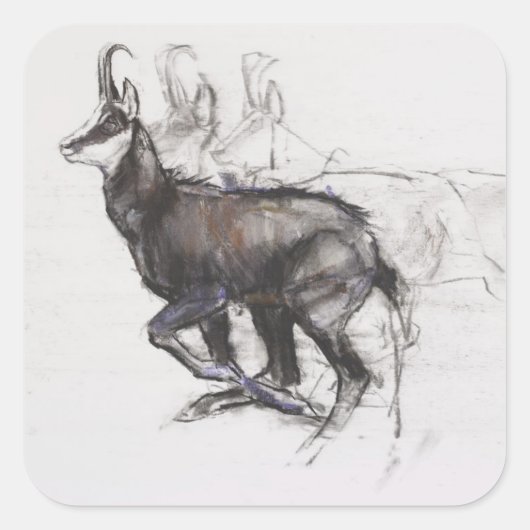 Sticker Carré Coureur Chamois (Devant)