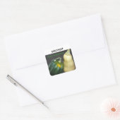 Sticker Carré Courge d'hiver (Enveloppe)