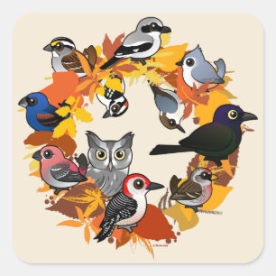 Sticker Carré Couronne d'automne d'oiseaux d'Amérique du Nord