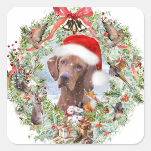 Sticker Carré Couronne de Noël de Vizsla en Hongrie