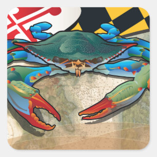 Sticker Carré Crabe bleu du Maryland