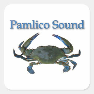 Sticker Carré Crabe bleu sain de Pamlico