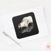 Sticker Carré Crâne animal (Enveloppe)