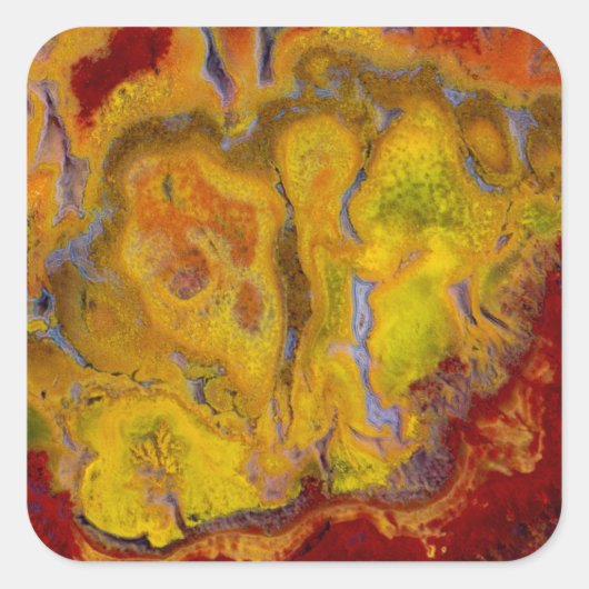 Sticker Carré Crayola Jasper (Devant)