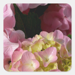 Sticker Carré Crème rose Hydrangeas jaune rose vert floral