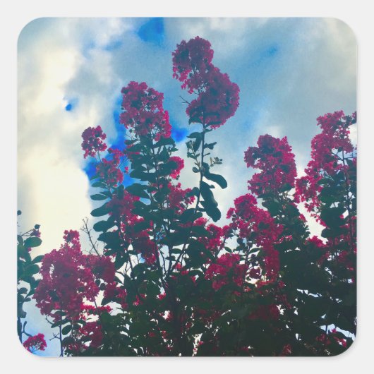 Sticker Carré crepe myrtle on a cloudy day (Devant)