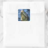 Sticker Carré Crocodile Dents Eau (Sac)