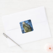 Sticker Carré Crocodile Dents Eau (Enveloppe)