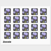 STICKER CARRÉ CROCUS PURPLE DE PRINTEMPS (Feuille)