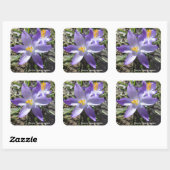 Sticker Carré Crocus simple (Feuille)