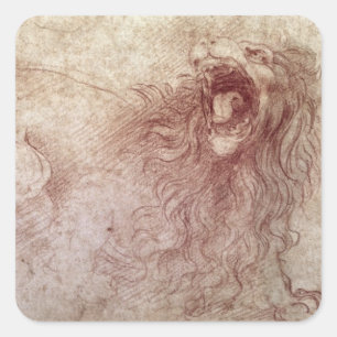 Sticker Carré Croquis d'un lion d'hurlement (craie rouge sur le
