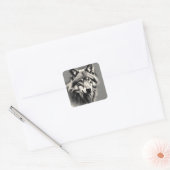 Sticker Carré Croquis Wolf (Enveloppe)