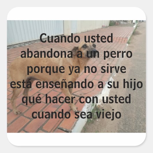 Sticker Carré cuando chassé abandona un perro (Devant)