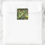 Sticker Carré Cucumbers (Sac)