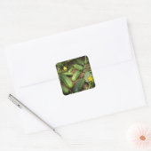 Sticker Carré Cucumbers (Enveloppe)