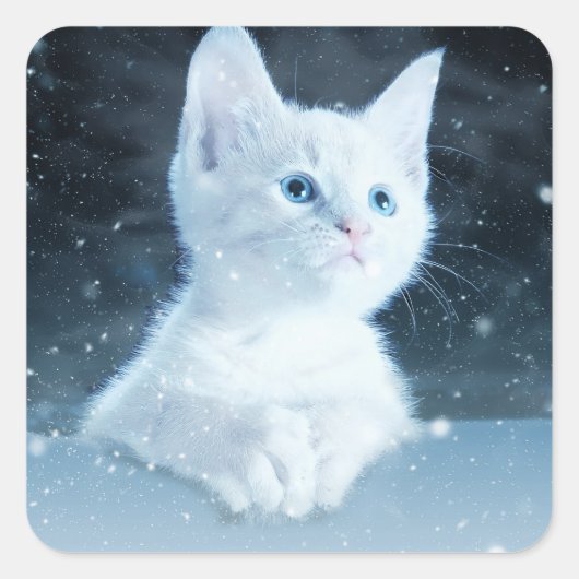 Sticker Carré Cuite Kitten blanc avec de beaux yeux bleus (Devant)