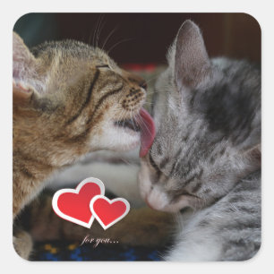 Sticker Carré Cupides chatons