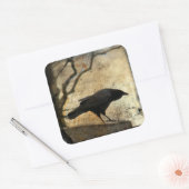 Sticker Carré Curious crow (Enveloppe)