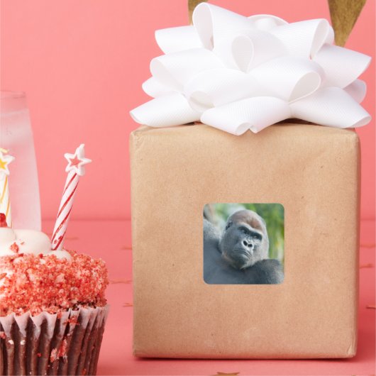 Sticker Carré Curious Gorilla Standing Tall (Fête)