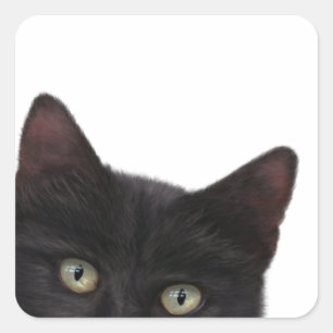 Sticker Carré Curious Kitty peinture numérique