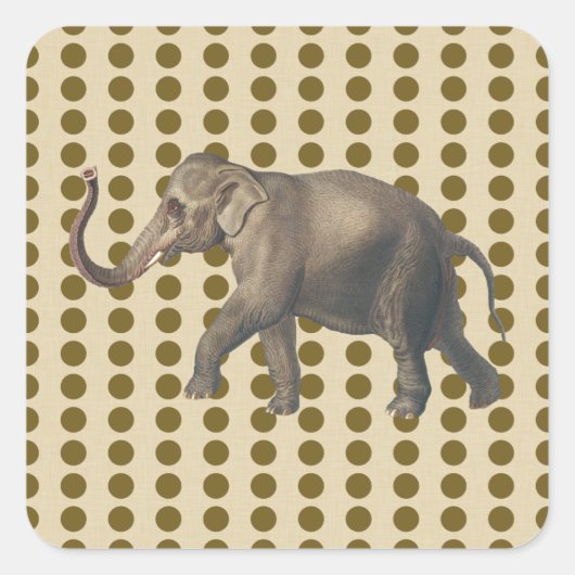 Sticker Carré Curry Spice Moods Doses avec éléphant (Devant)