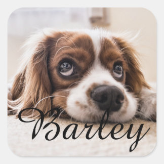 Sticker Carré Custom Dog Name Design – Personalized Dog Lover Gi
