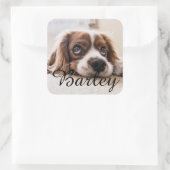 Sticker Carré Custom Dog Name Design – Personalized Dog Lover Gi (Sac)