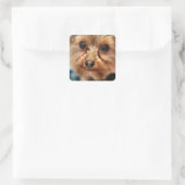Sticker Carré Cute (Sac)