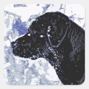 Sticker Carré Cute Black Lab Labrador Retriever Chien