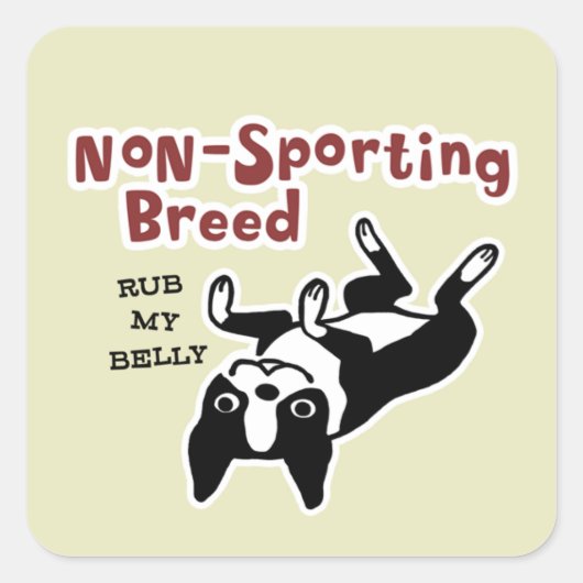 Sticker Carré Cute Boston Terrier - race non sportive (Devant)