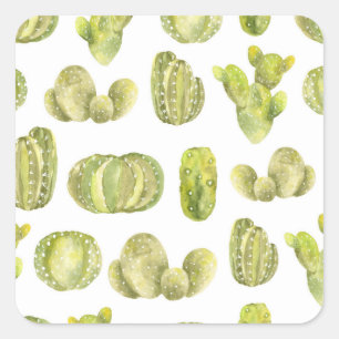 Sticker Carré Cute Cactus, Aquarelle Décor Sans Couleur.