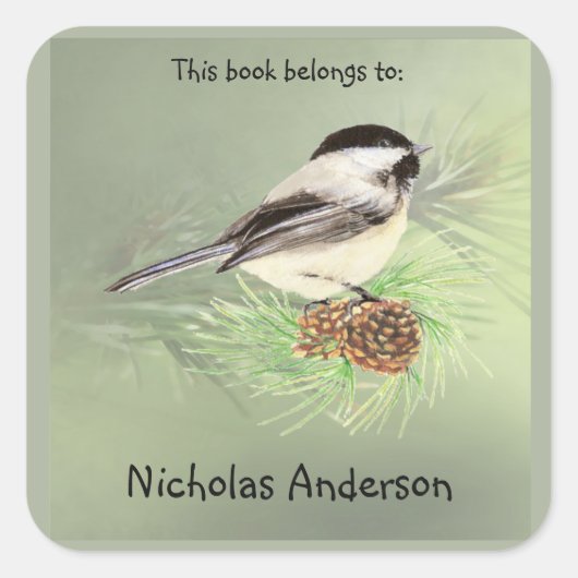 Sticker Carré Cute Chickadee Bird & Pine Nature Art Boite (Devant)