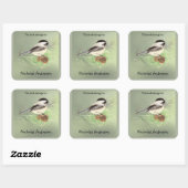 Sticker Carré Cute Chickadee Bird & Pine Nature Art Boite (Feuille)
