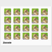 Sticker Carré Cute Chipmunk (Feuille)