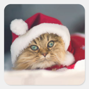Sticker Carré Cute Christmas