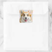 Sticker Carré Cute Corgi (Sac)