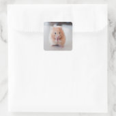 Sticker Carré Cute Hamster Aimer Animaux (Sac)