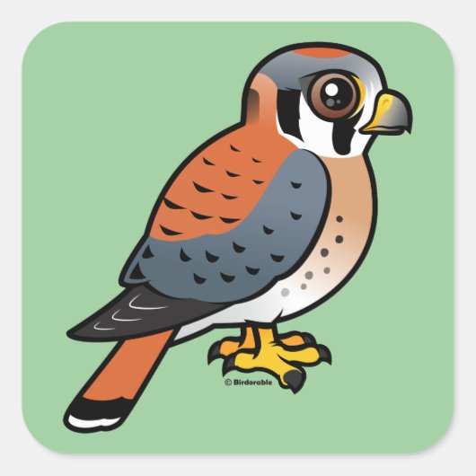 Sticker Carré Cute Kestrel Américain (Devant)