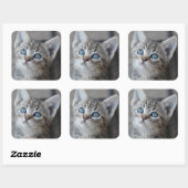 Sticker Carré Cute Kitten (Feuille)